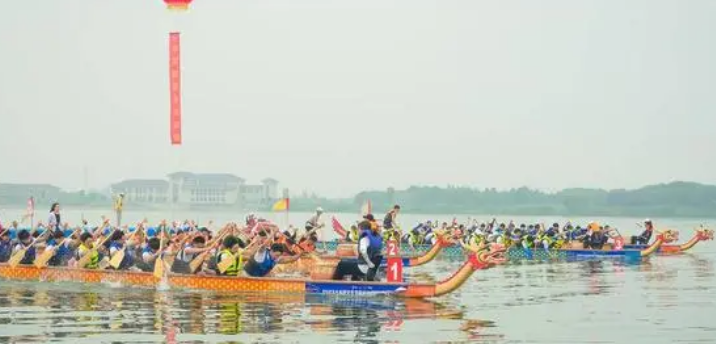开云-克罗地亚达尔马提亚队迎来反弹，期望获胜，振奋人心
